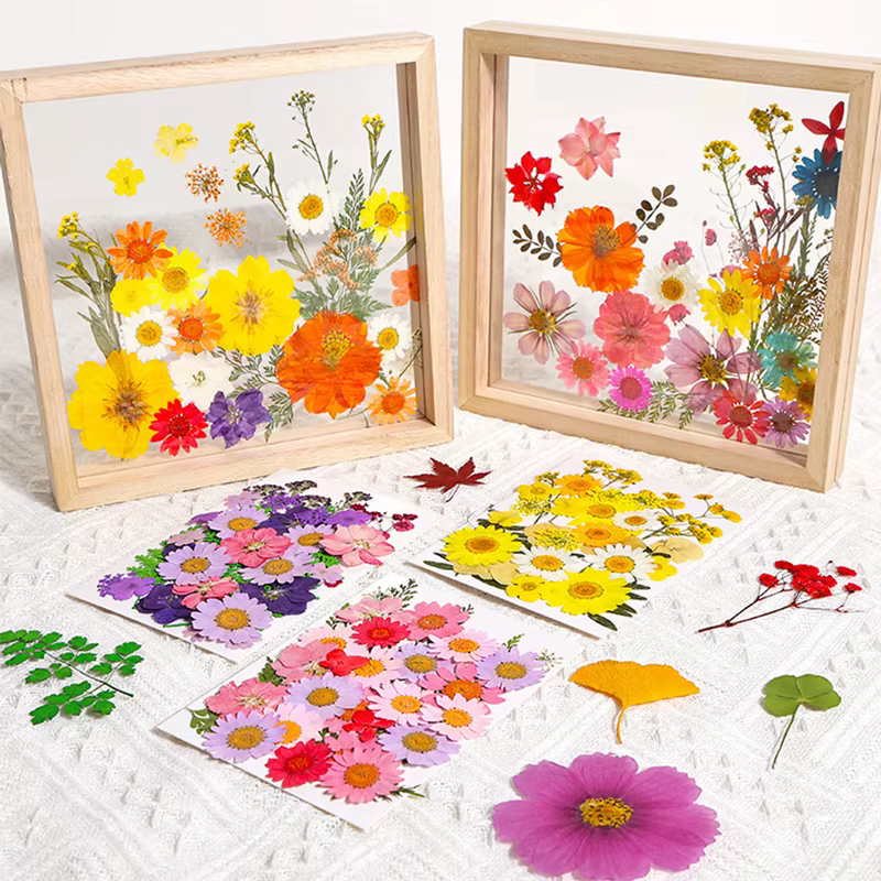 Kit de presse à fleurs en bois