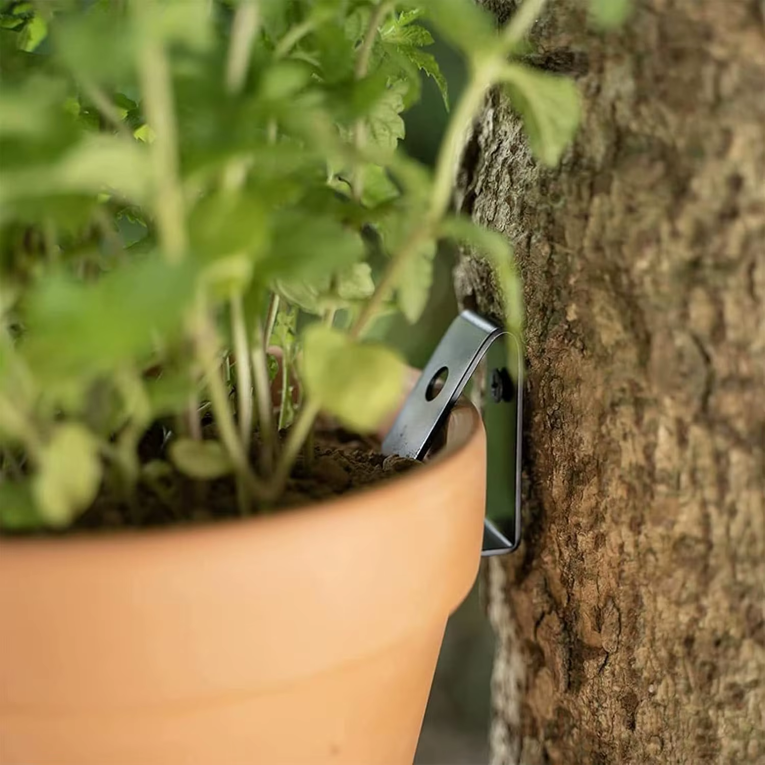 6 clips pour pots de fleurs