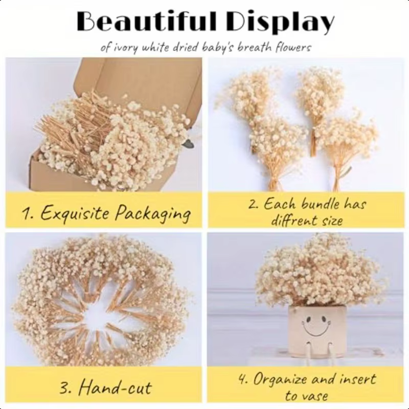 100 mini-fleurs séchées de gypsophile naturelles pour bricolage