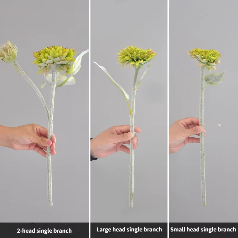 Tournesol Artificiel Thousand Story