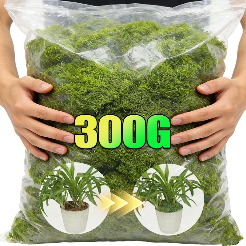 Plantes vertes artificielles