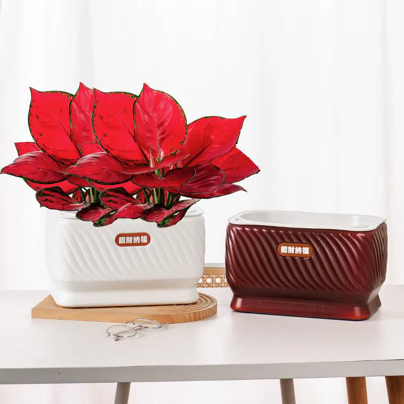 Pot de fleurs auto-arrosant en plastique