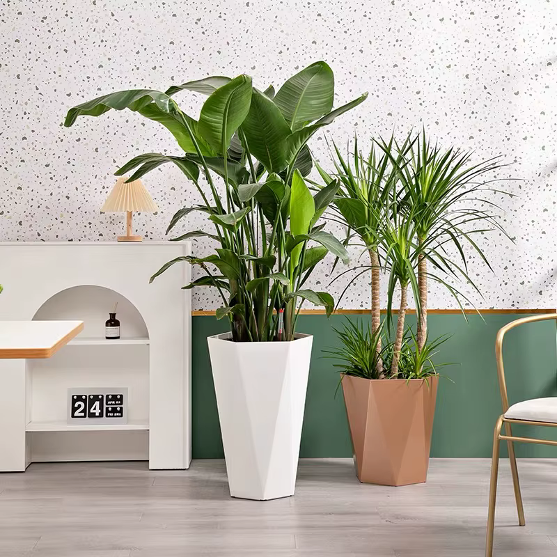 Grand pot de fleur rectangulaire en acier pour l'extérieur et l'intérieur