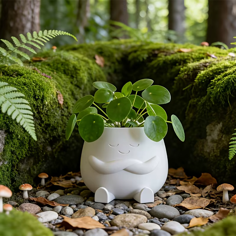 2 pots de plantes porte-bonheur