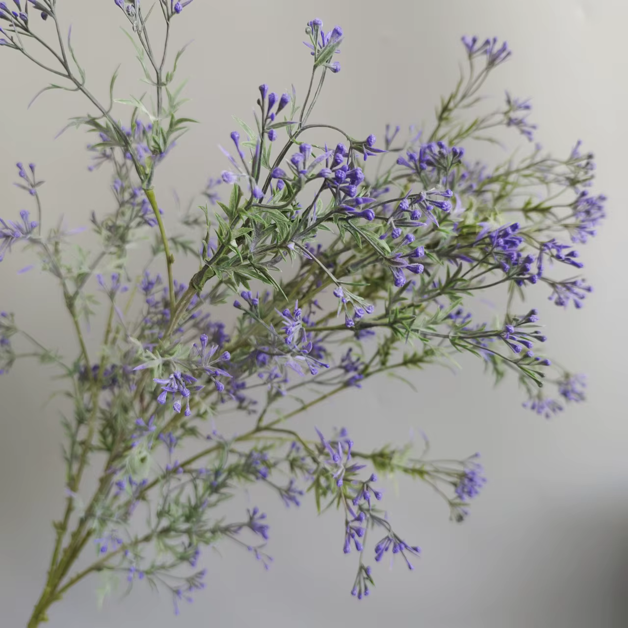 Fleurs artificielles en céleri et gypsophile