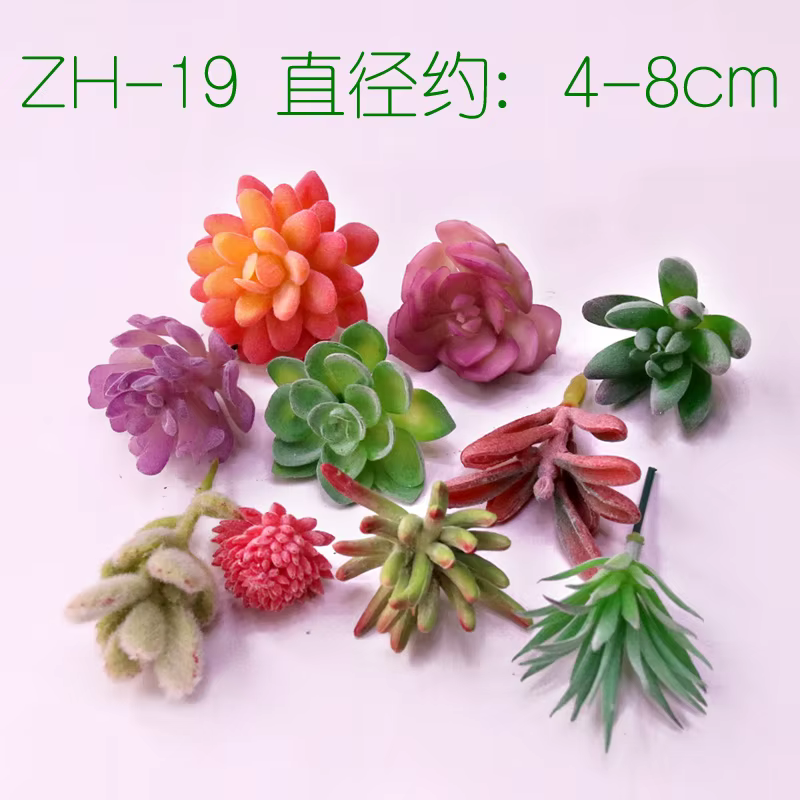 Plantes succulentes artificielles