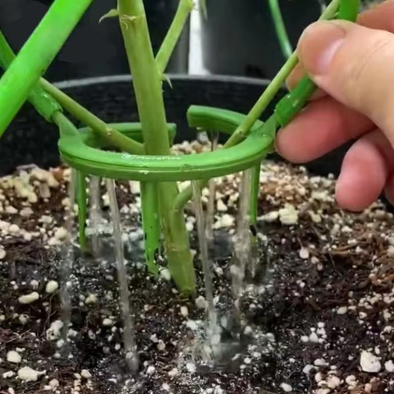 Nouvel Anneau d'irrigation goutte à goutte pour plantes