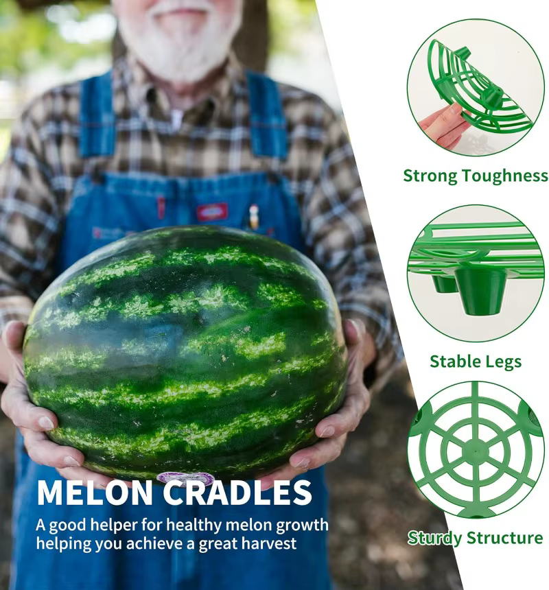 2/10 pièces Supports de plantes