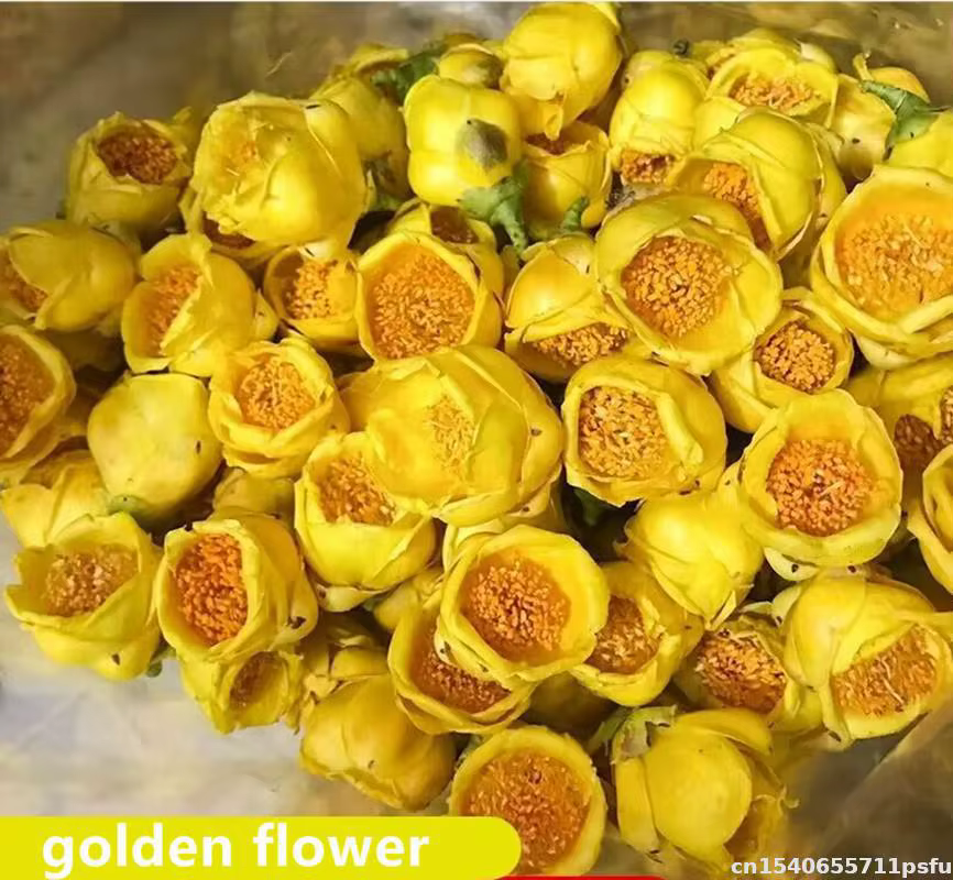 Fleur sèche de camélia naturelle de qualité supérieure