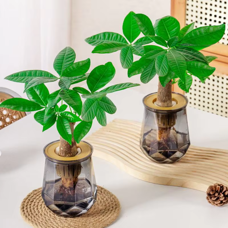 Mini Pot de fleur à arrosage automatique