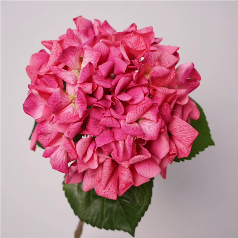 Touchez les fausses fleurs d'hortensia hydratantes