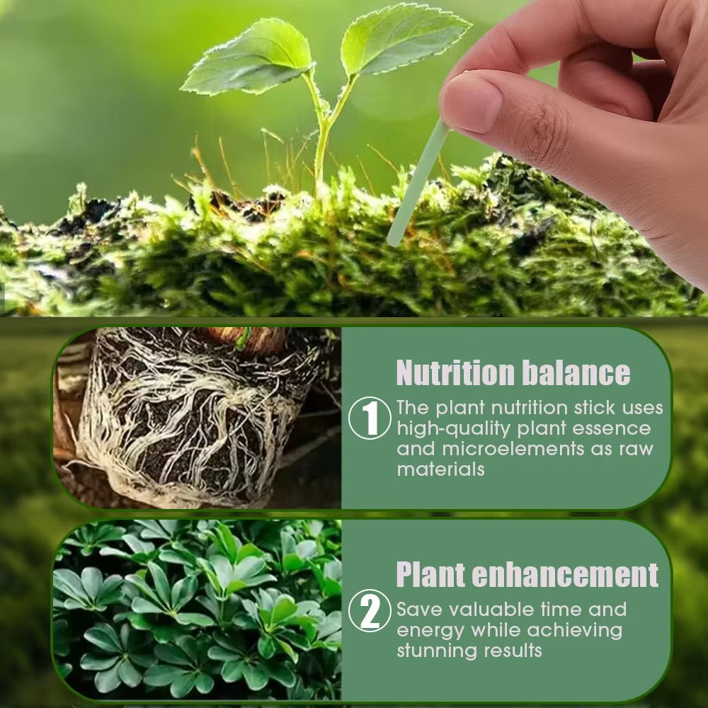 Bâton de croissance universel pour plantes en pot d'intérieur