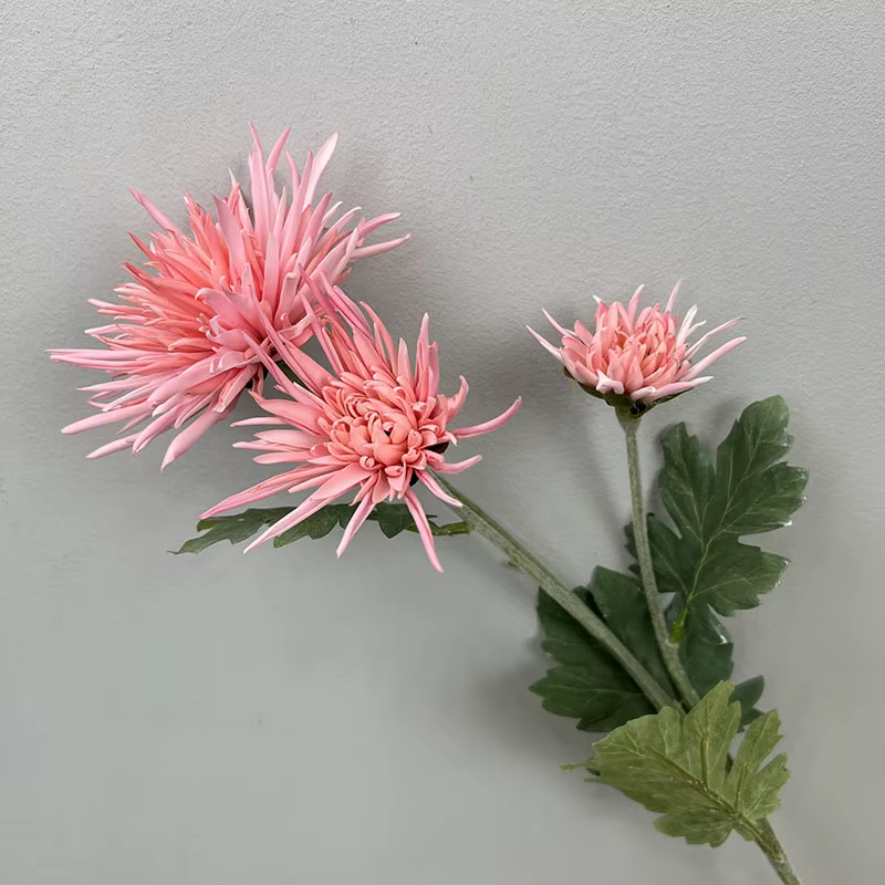 Crabe Griffe Chrysanthème Fleurs Artificielles
