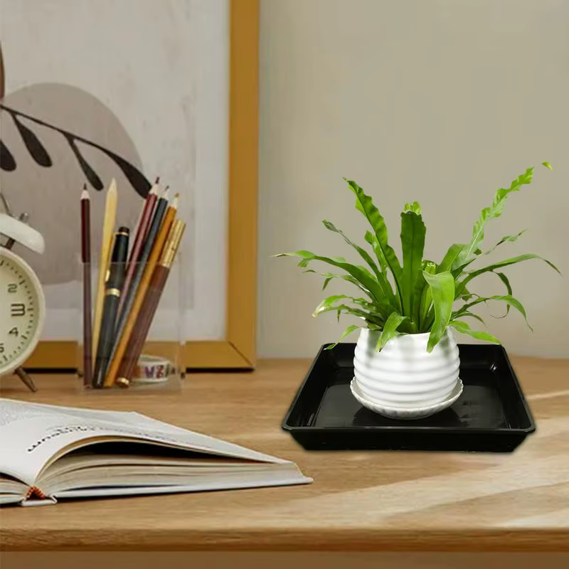 Soucoupe à plantes carrée