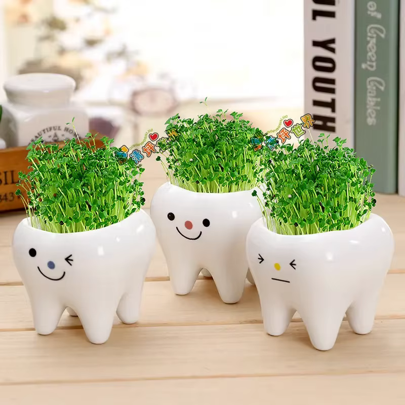 Mini pot de fleurs en céramique en forme de dent