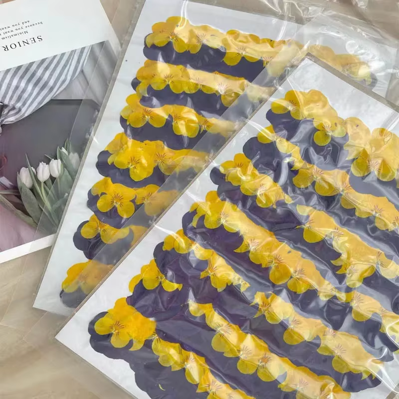 Fleurs séchées PMurcia violet et jaune