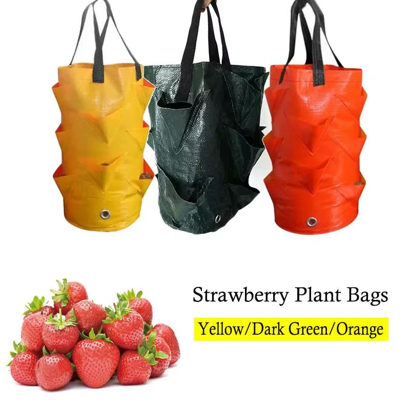 Sac de culture suspendu pour fraises et herbes