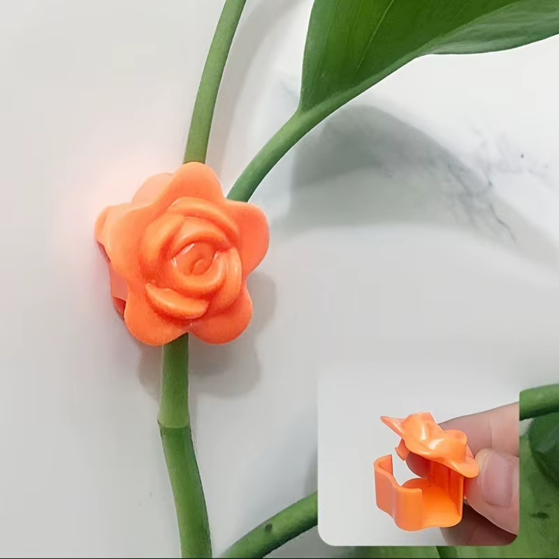 Clips de fixation murale pour plantes grimpantes