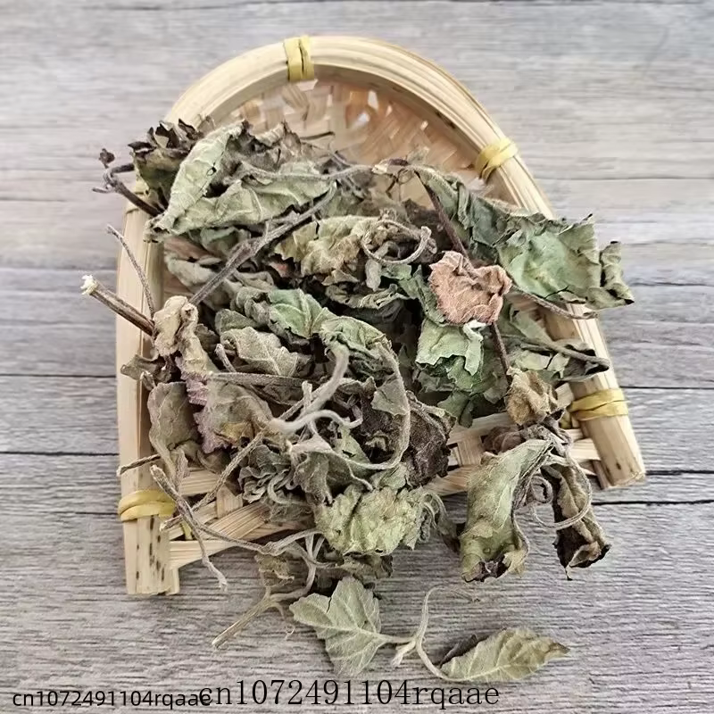 Feuilles d'Agastache Rugosa Séchées Naturelles Pures