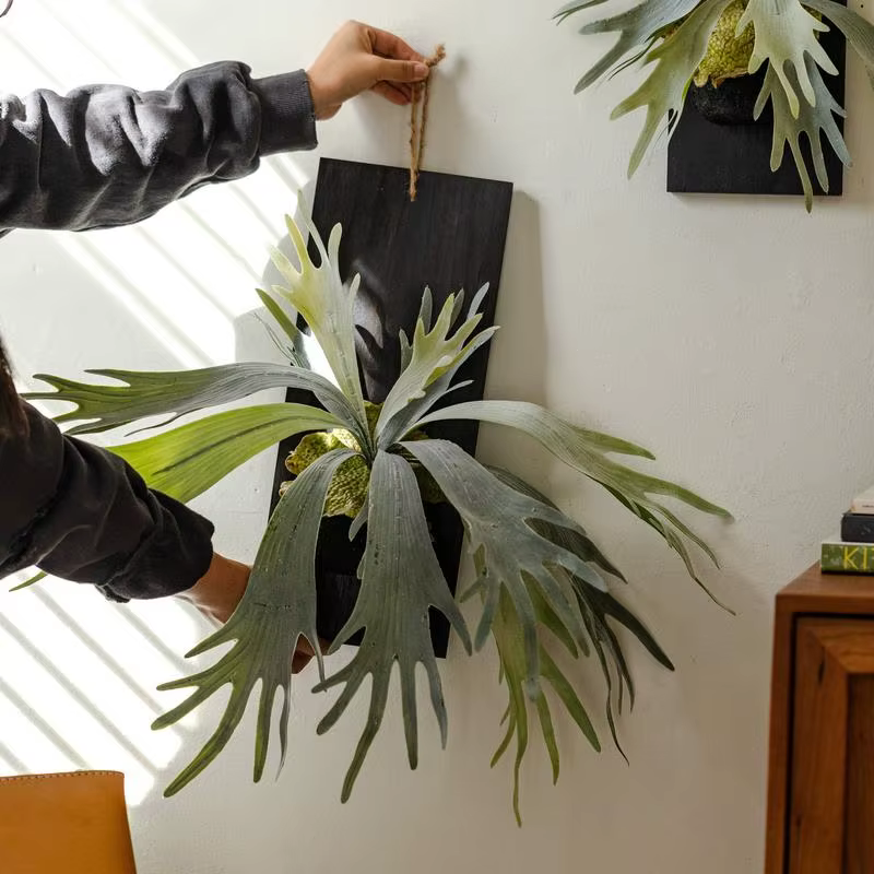 Plante tropicale artificielle tenture murale décoration bois de cerf fougère