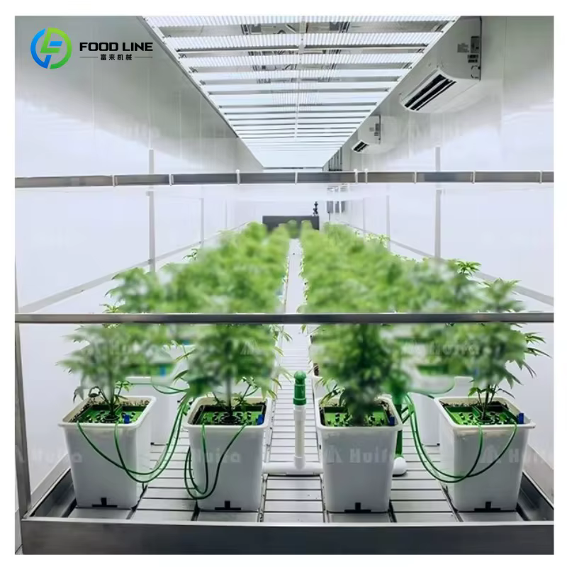 Serre conteneurisée entièrement automatisée pour la culture de micro-légumes en Thaïlande