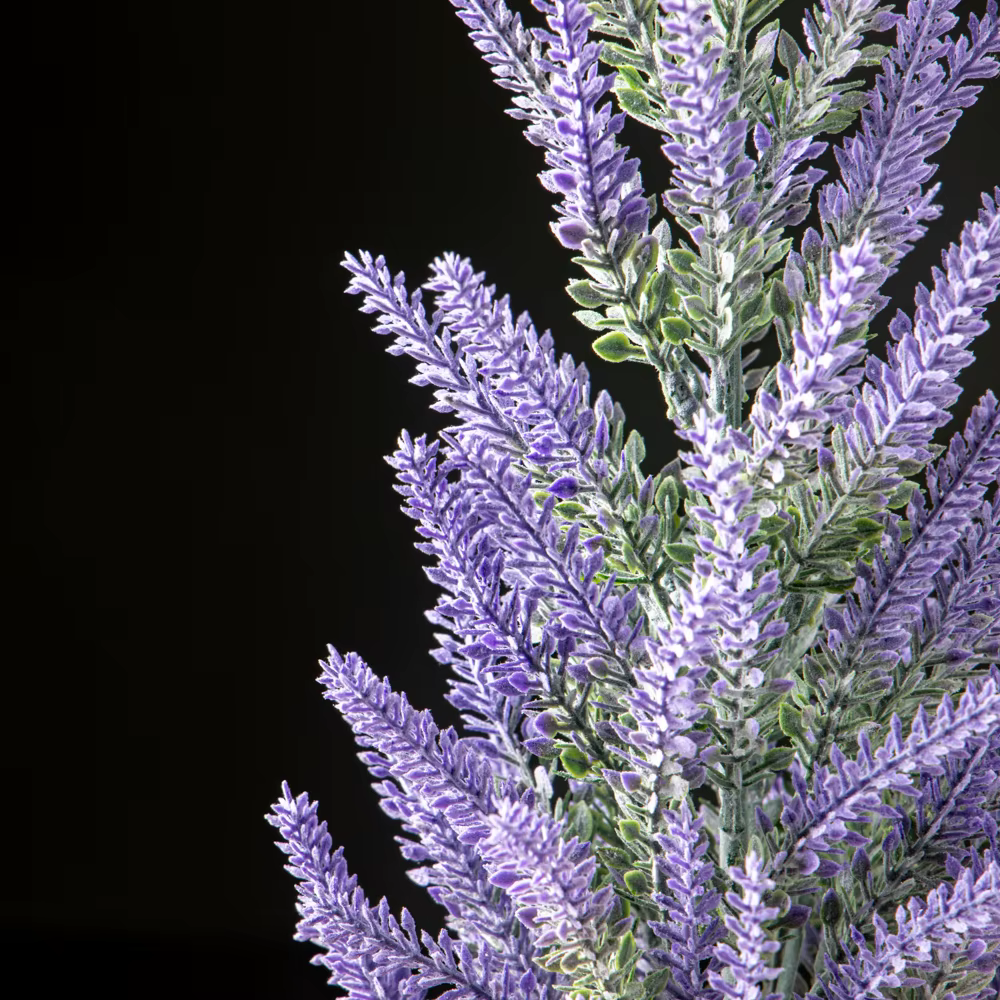Fausses plantes de µ, 36/45cm