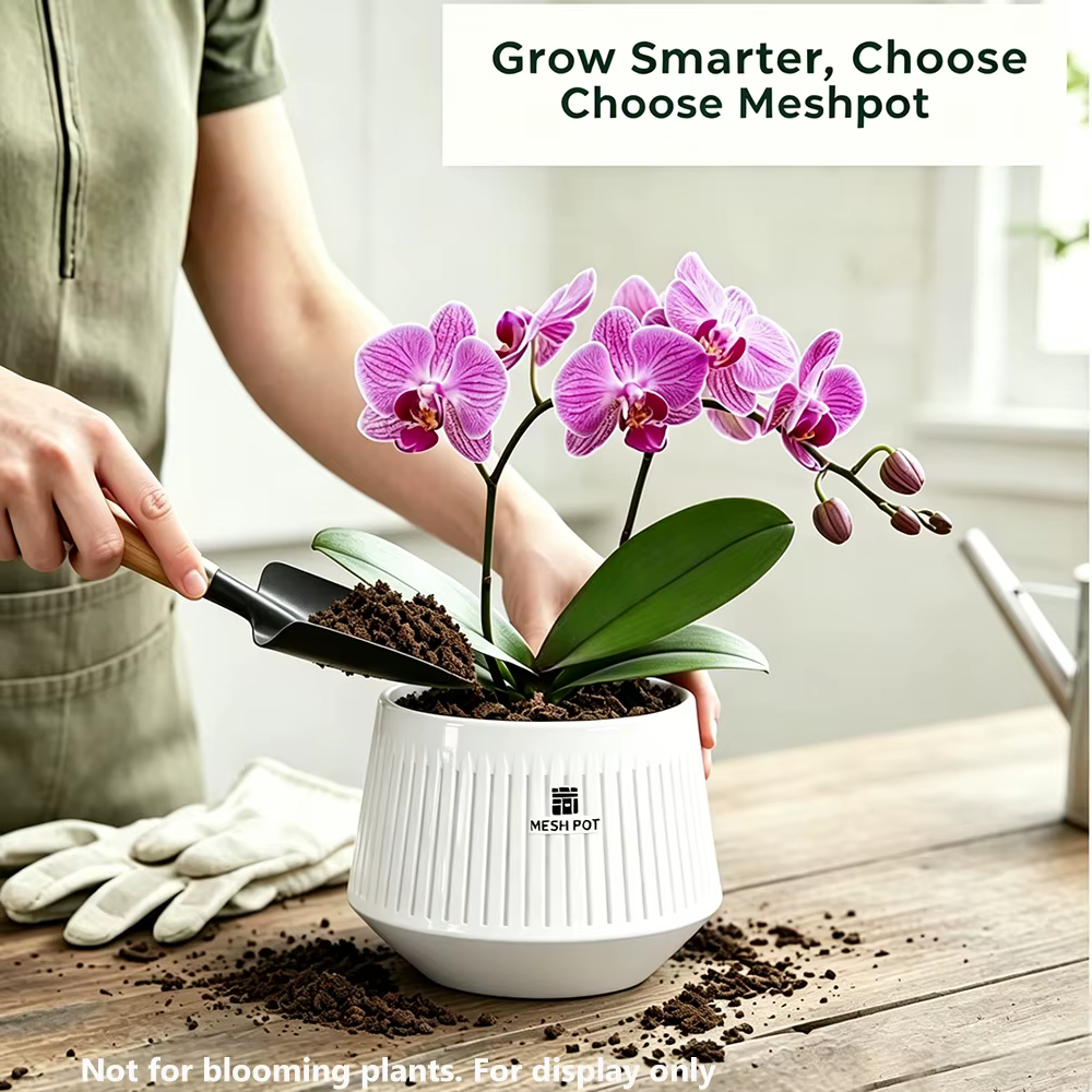 Pots d'orchidées en maille avec trous