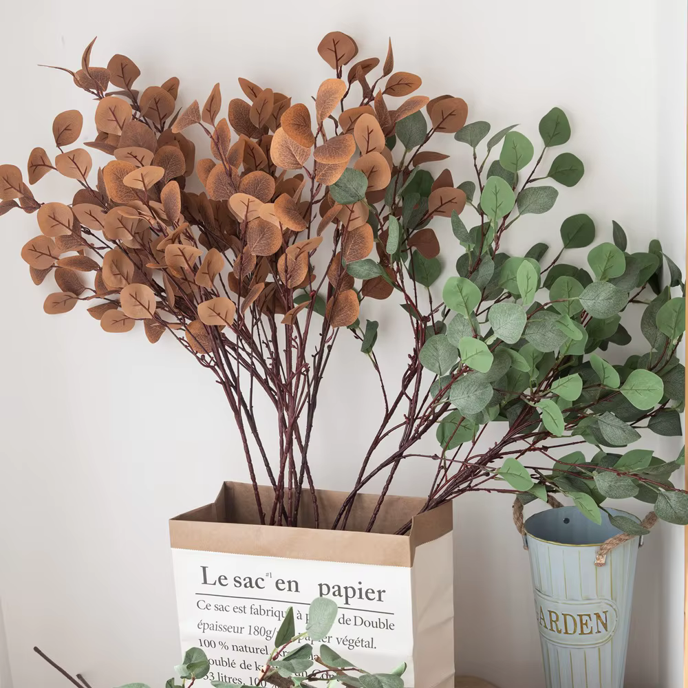 Feuilles d'eucalyptus vertes