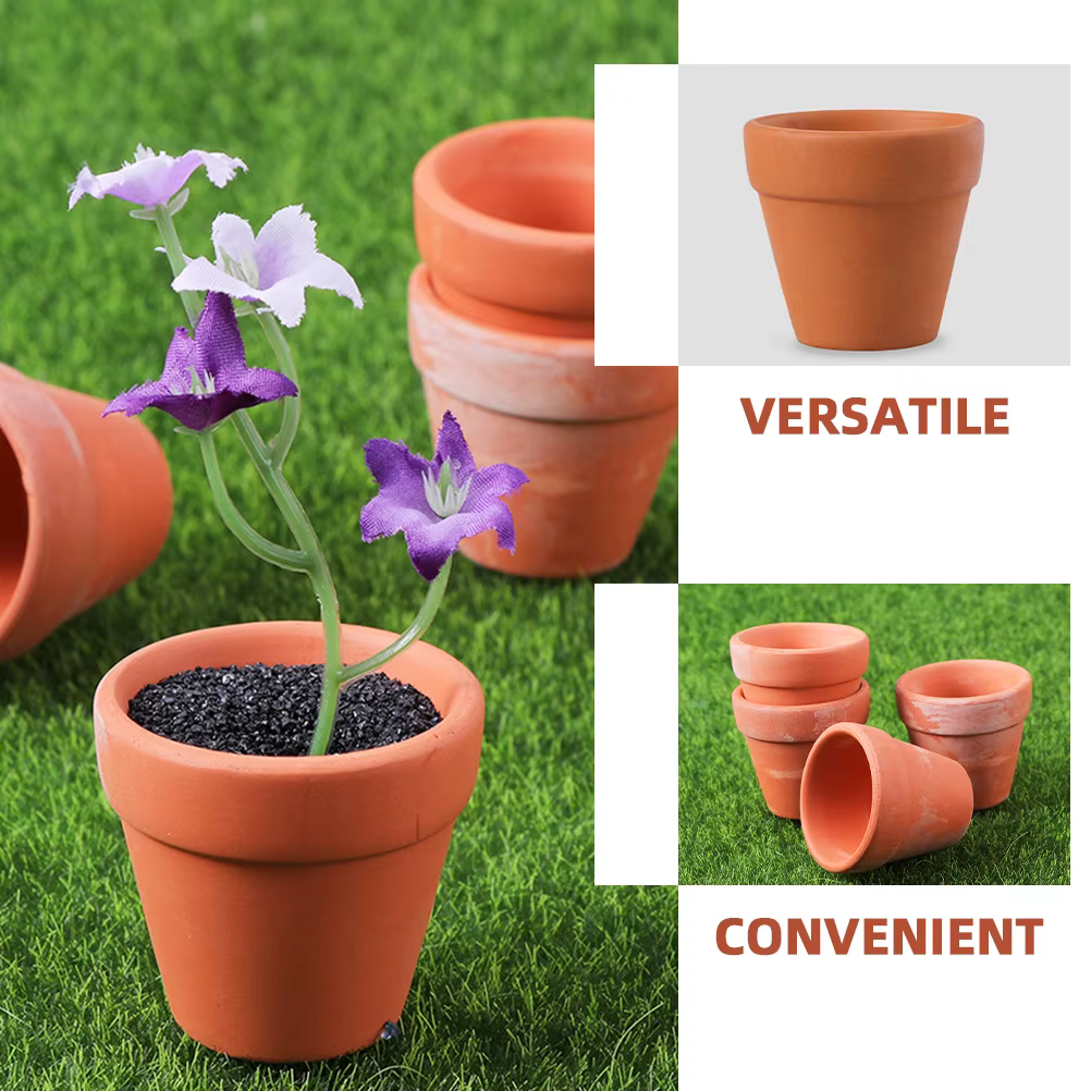 12 pots de plantes en terre cuite