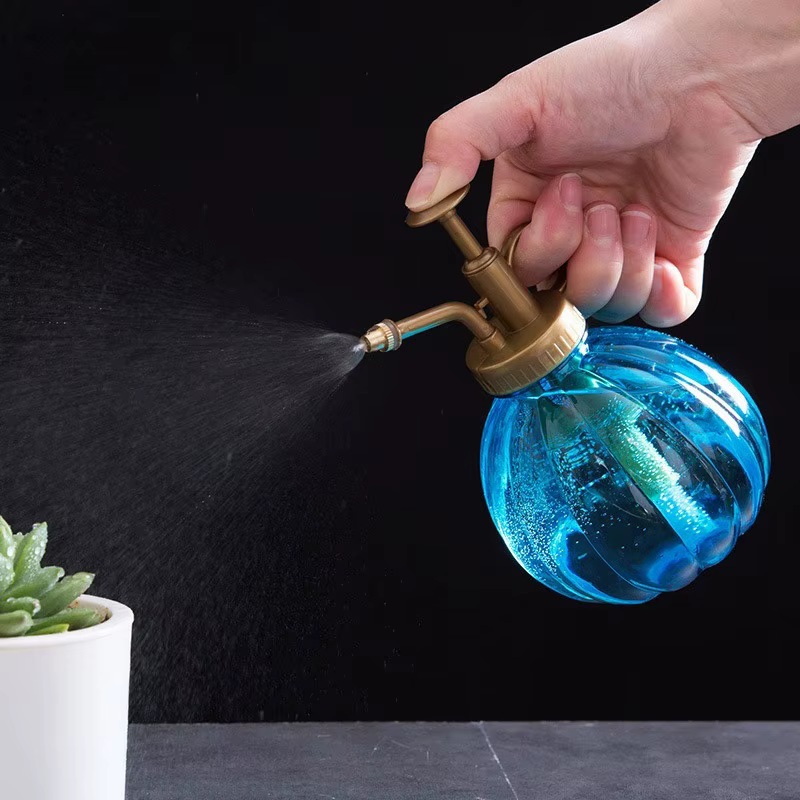 Arrosoir de jardin en verre pour plantes et fleurs