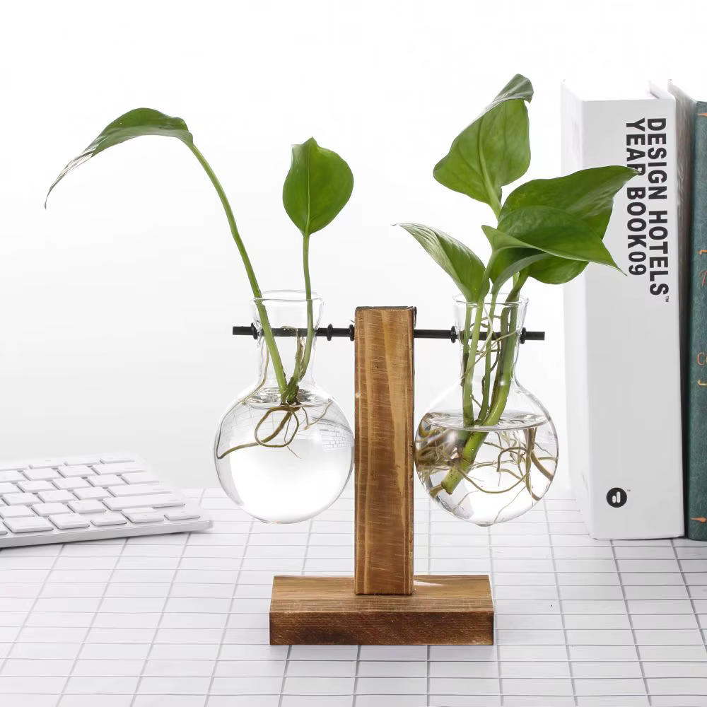 Décor à la maison Terrarium table planteur Pot de fleur plantes hydroponiques Vases Vase en verre cadre en bois