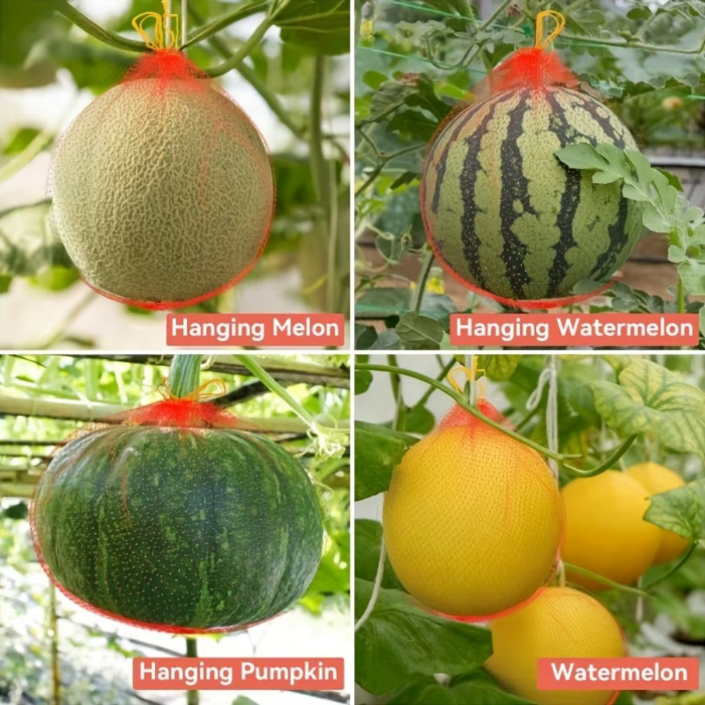 100 pièces de filet de jardinage en plastique robuste pour la culture verticale de melons et pastèques