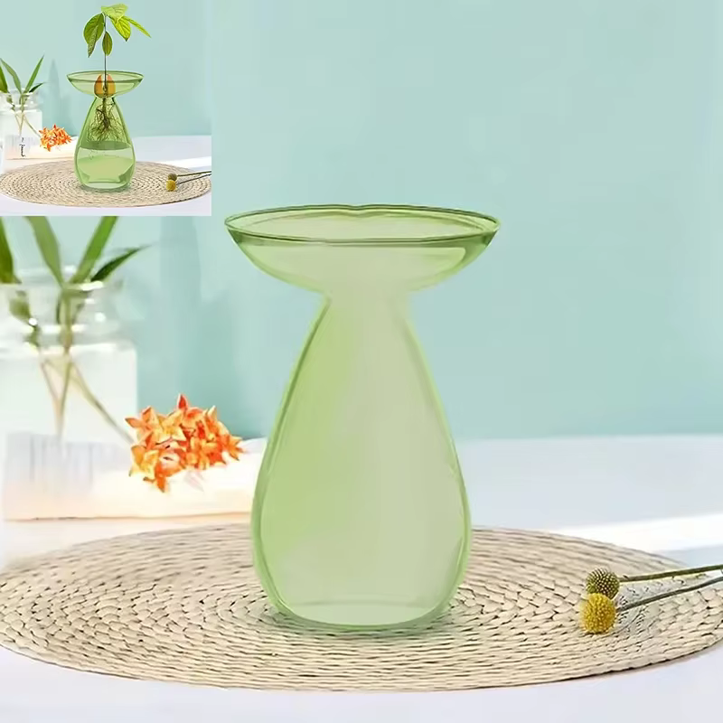 Vase en verre coloré en forme d'avocat - Jardinière hydroponique transparente pour la germination des graines