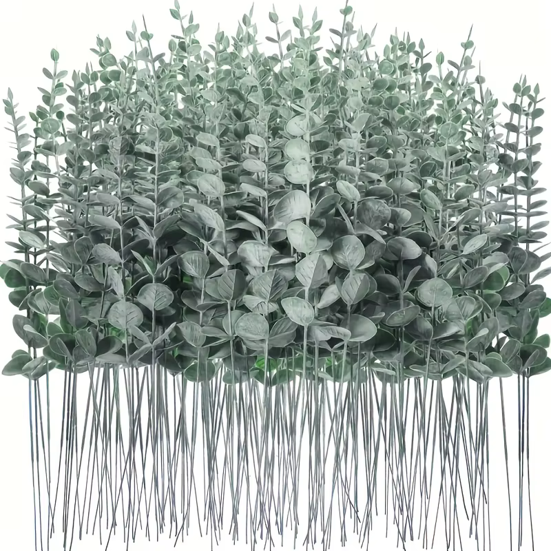 Feuilles d'eucalyptus vert foncé