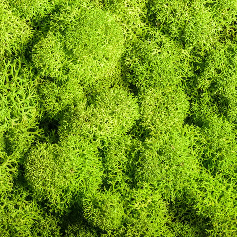 Plantes miniatures modèle mousse artificielle bricolage artisanat herbe jardin décoration ferroviaire Train paysage