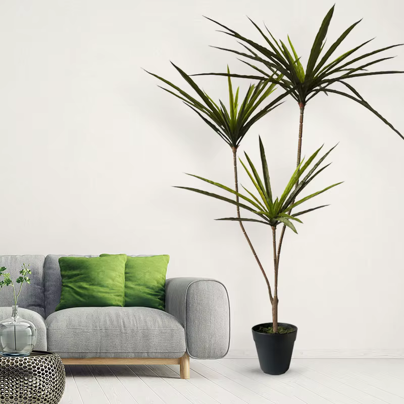 Grandes plantes de Dracaena artificielles tropicales en pot