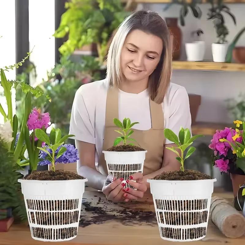 Pots d'orchidées avec trous