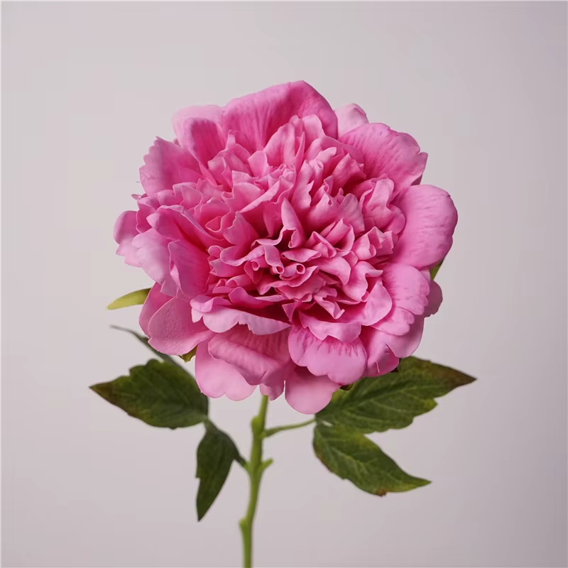 Fleurs de pivoines artificielles hydratantes au toucher réel