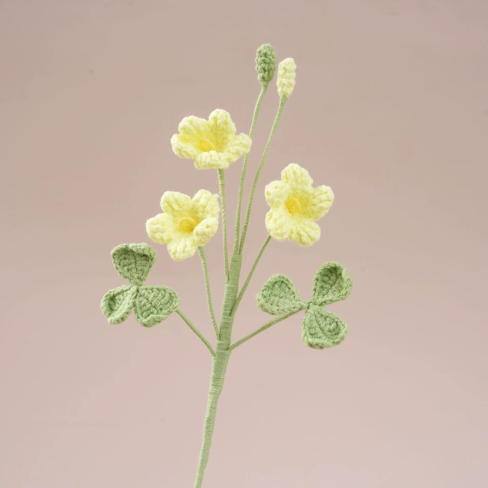 Bouquet au Crochet Oxalis mignon