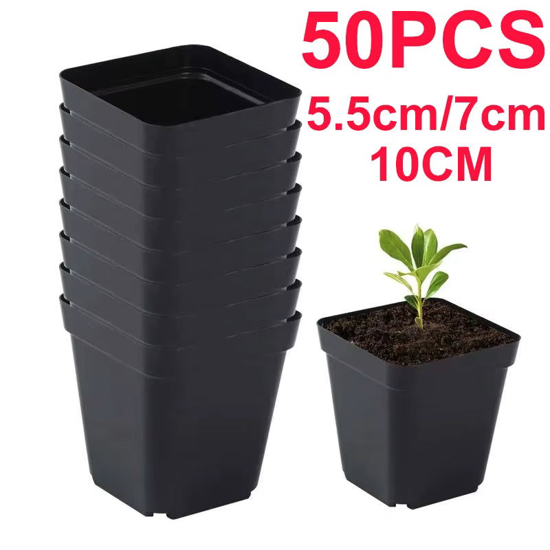 Pots de semis 50 pièces carrés plante semis-gobelet de plantation en plastique pépinière profonde arbre Pot fleur