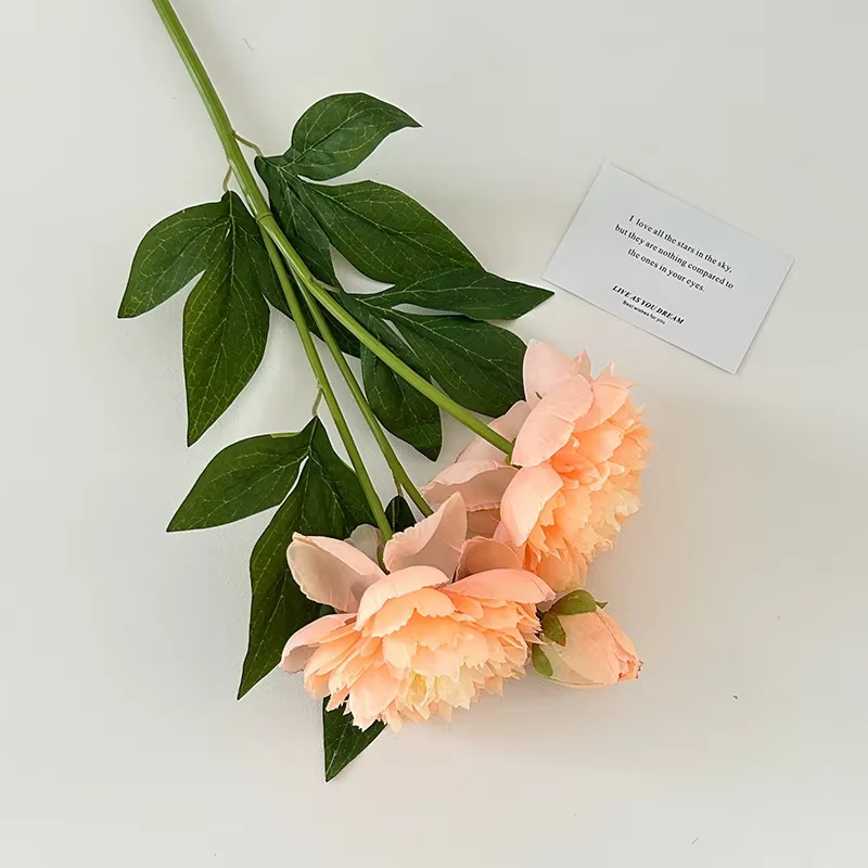 Fleurs de pivoine artificielles à Double pétale