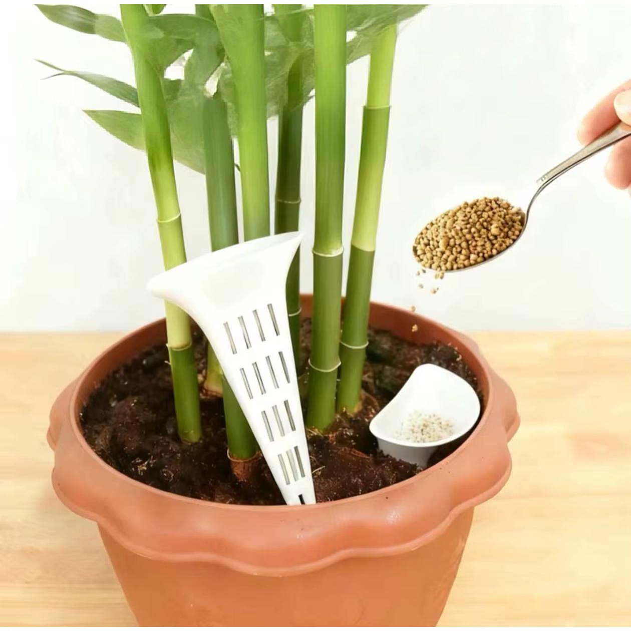 Dispositif d'arrosage respirant pour plantes coniques