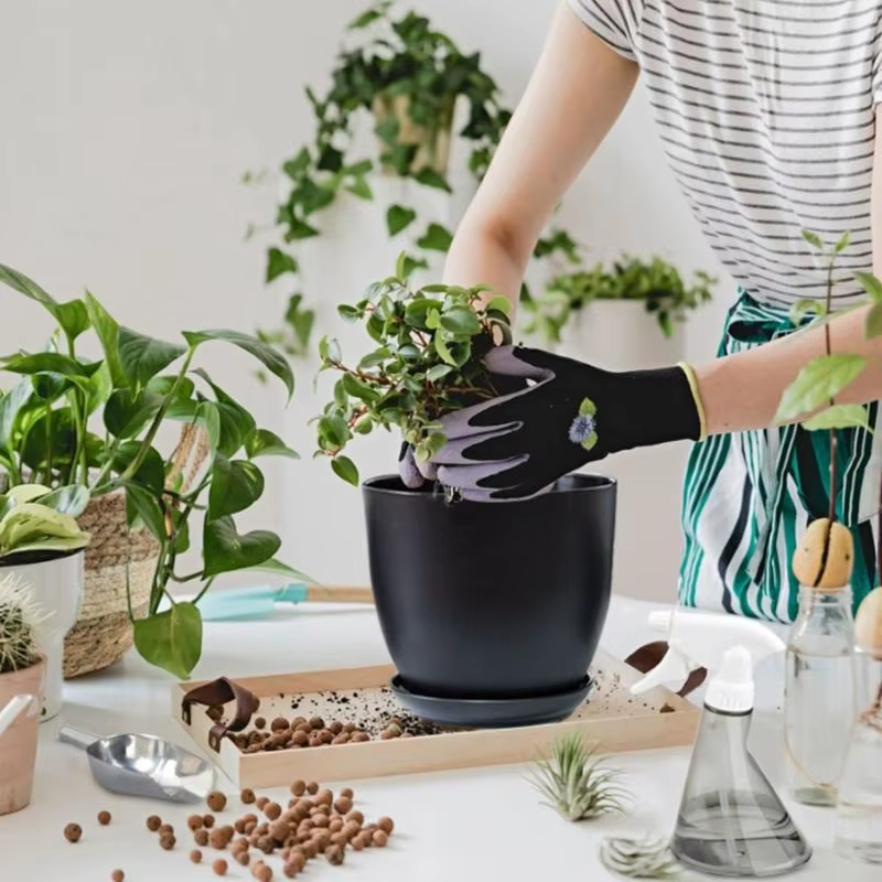 Pot fleur classique pour les amateurs plantes d'intérieur d'extérieur