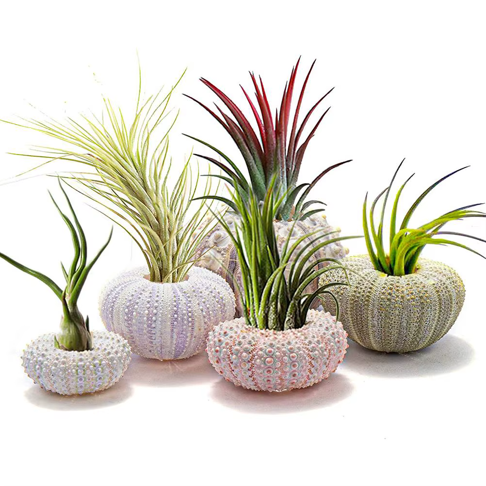 Pot de fleurs suspendu