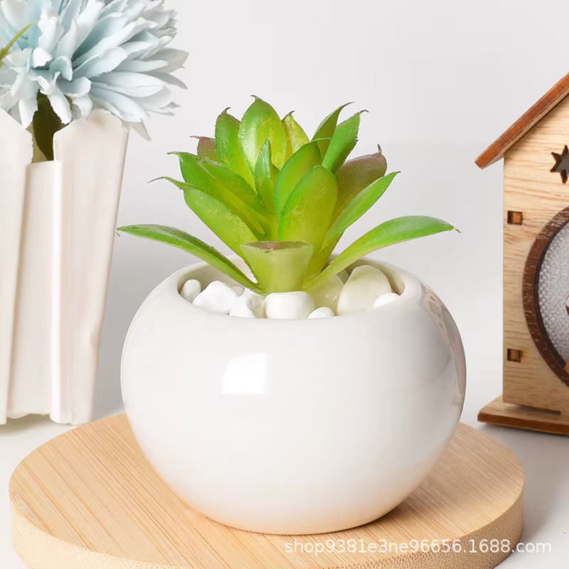 Petit pot rond en céramique pour plantes succulentes