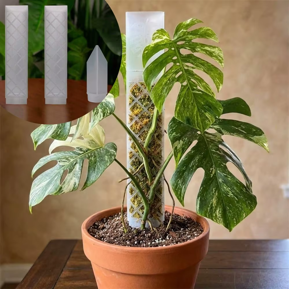 Support de croissance pour plantes grimpantes en plastique en forme