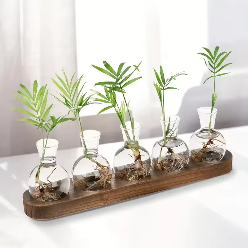 Terrarium en verre pour plantes avec plateau en bois – Pour la propagation hydroponique en intérieur
