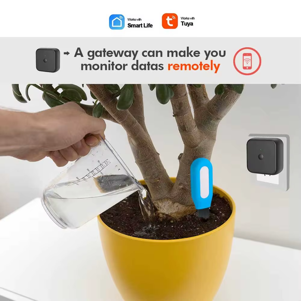 Moniteur de plantes WiFi compatible Bluetooth