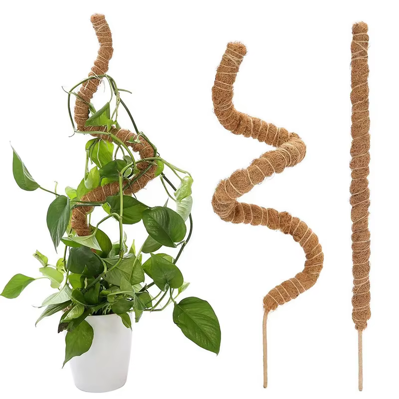 1 pièces poteaux de mousse pour plantes Monstera piquets