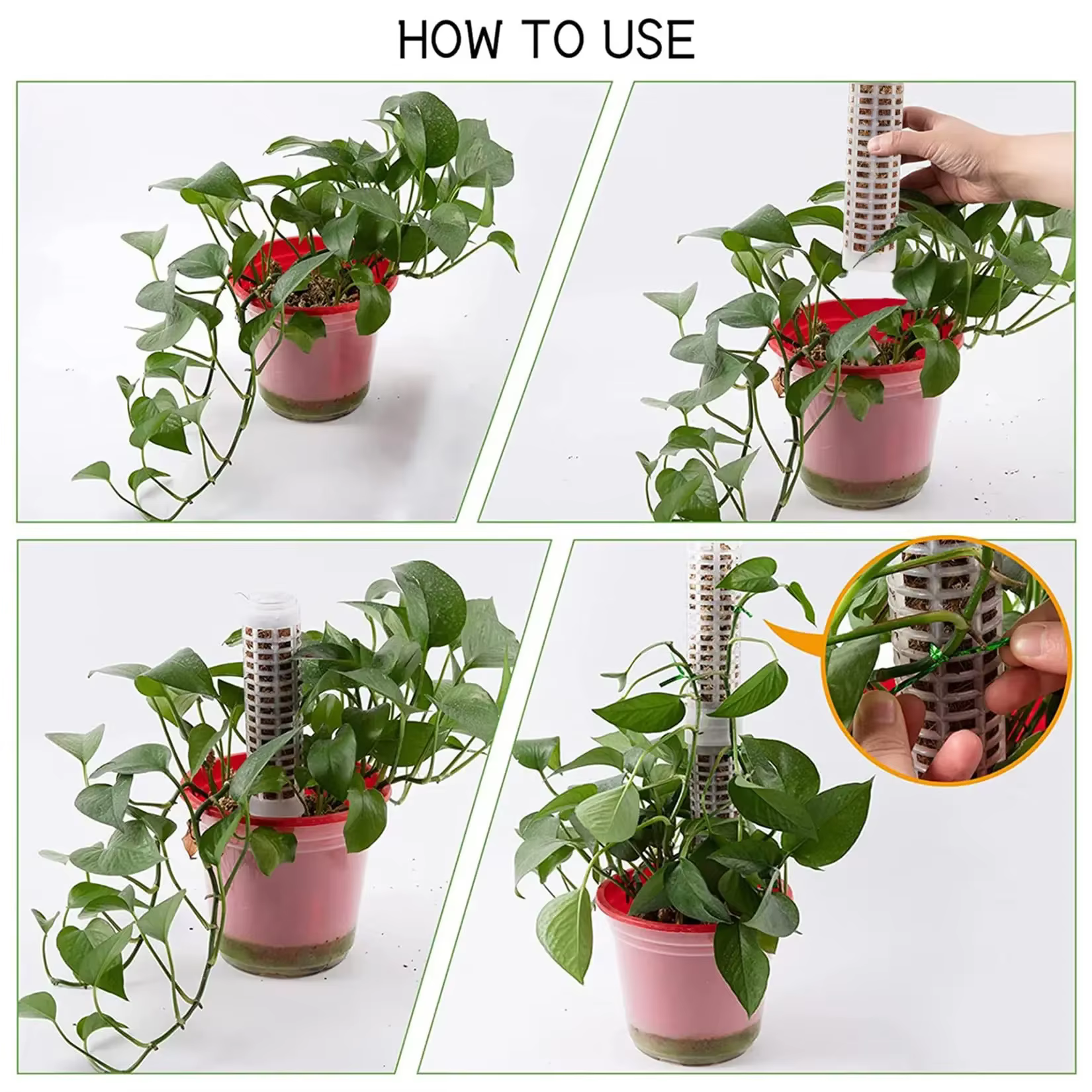 Colonne de support en plastique pour plantes grimpantes